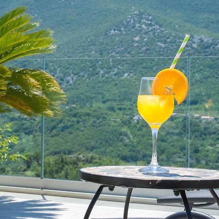 Villa Milena With Heated Pool And Jacuzzi Kostanje Luaran gambar